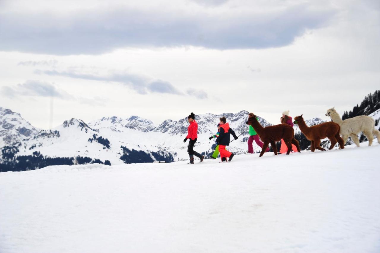 Alpenresort Walsertal Damüls Zewnętrze zdjęcie